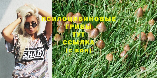 скорость Новокубанск