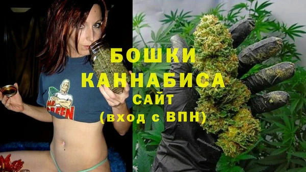 Альфа ПВП Нея