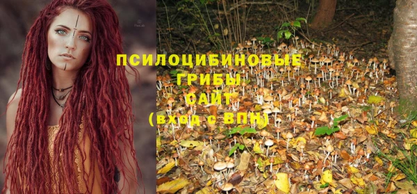 Альфа ПВП Нея