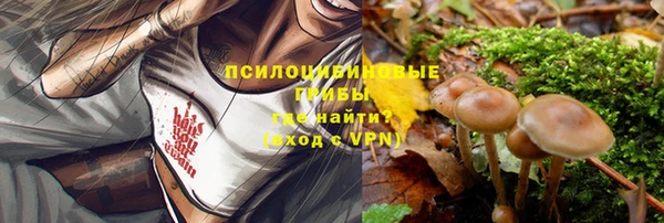 Альфа ПВП Нея