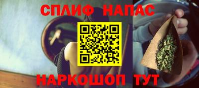 индика Ирбит