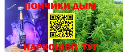 индика Ирбит