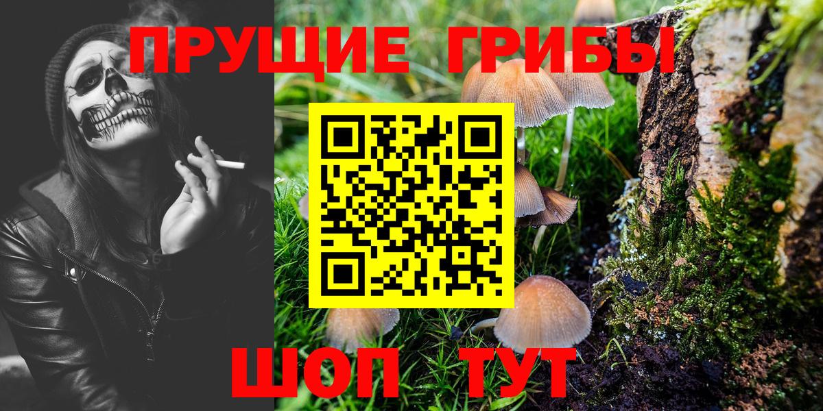 Полевской  Галлюциногенные грибы ЛСД  Вход с VPN 