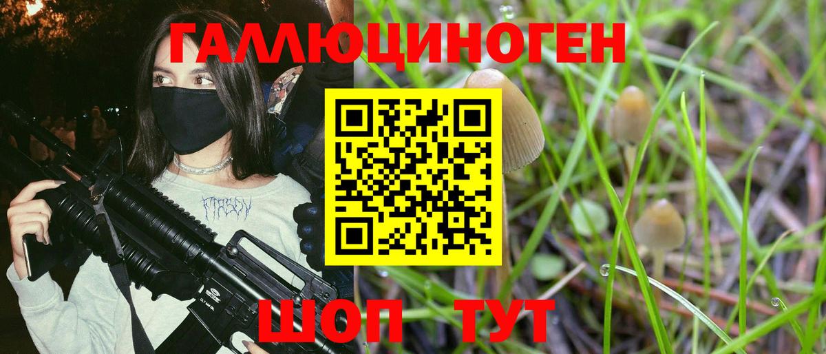 Галлюциногенные грибы Cubensis Полевской