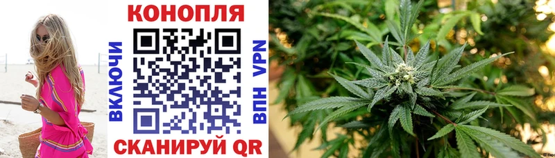 как найти закладки Полевской Бошки марихуана MAZAR